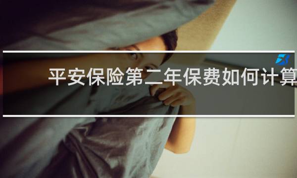 平安保险第二年保费如何计算