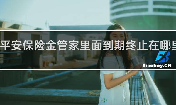 平安保险金管家里面到期终止在哪里位置
