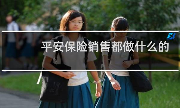 平安保险销售都做什么的