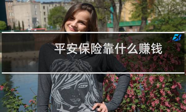 平安保险靠什么赚钱