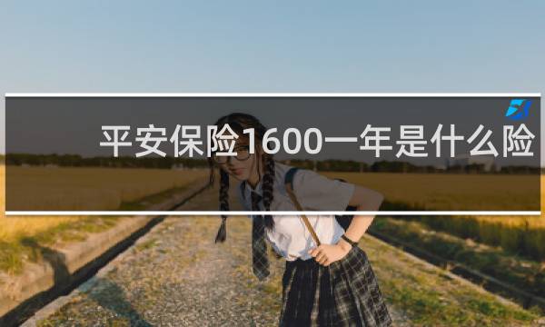 平安保险1600一年是什么险