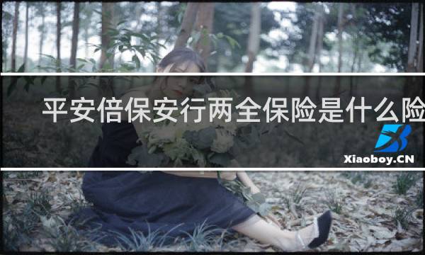 平安倍保安行两全保险是什么险种