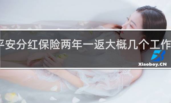 平安分红保险两年一返大概几个工作日到账