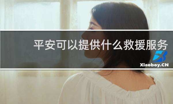 平安可以提供什么救援服务