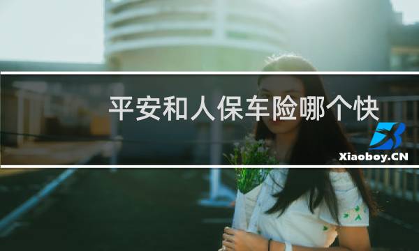 平安和人保车险哪个快