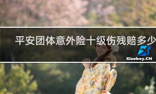 平安团体意外险十级伤残赔多少钱
