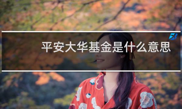 平安大华基金是什么意思