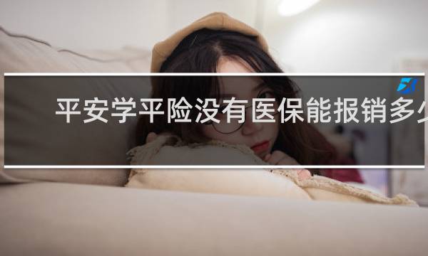 平安学平险没有医保能报销多少