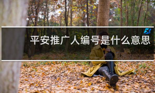 平安推广人编号是什么意思