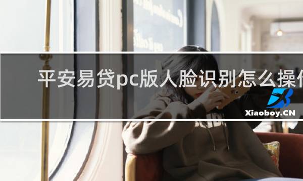 平安易贷pc版人脸识别怎么操作