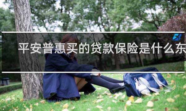 平安普惠买的贷款保险是什么东西