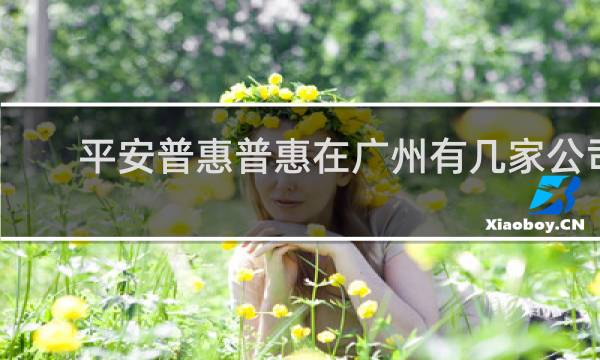 平安普惠普惠在广州有几家公司