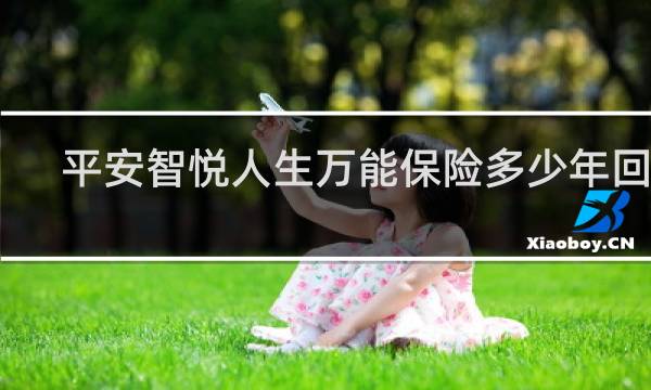 平安智悦人生万能保险多少年回本