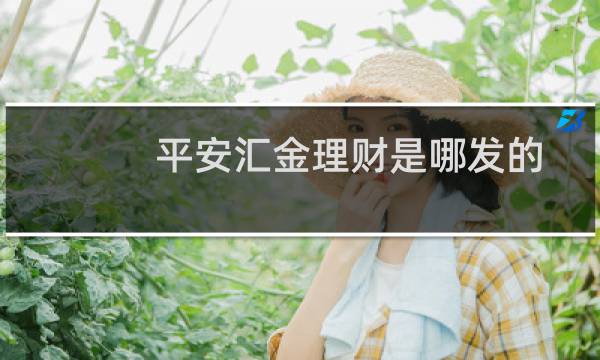 平安汇金理财是哪发的