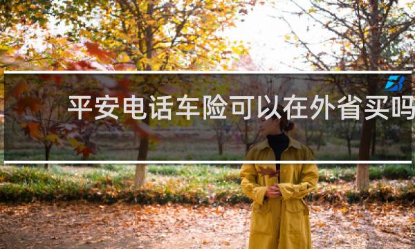平安电话车险可以在外省买吗