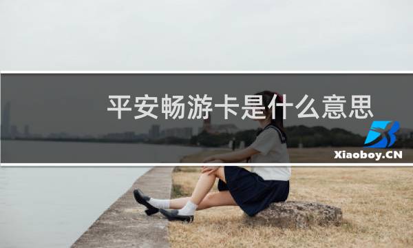 平安畅游卡是什么意思