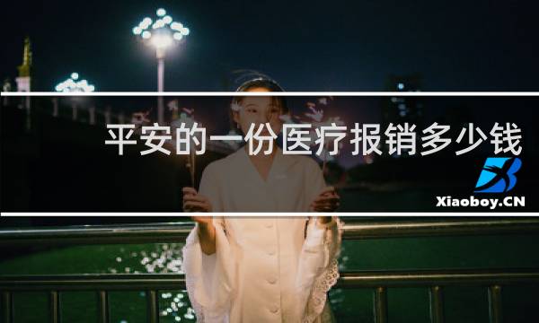 平安的一份医疗报销多少钱