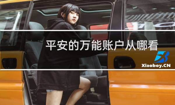 平安的万能账户从哪看