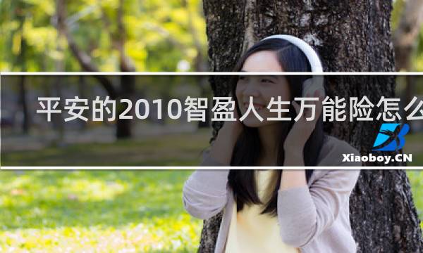 平安的2010智盈人生万能险怎么样