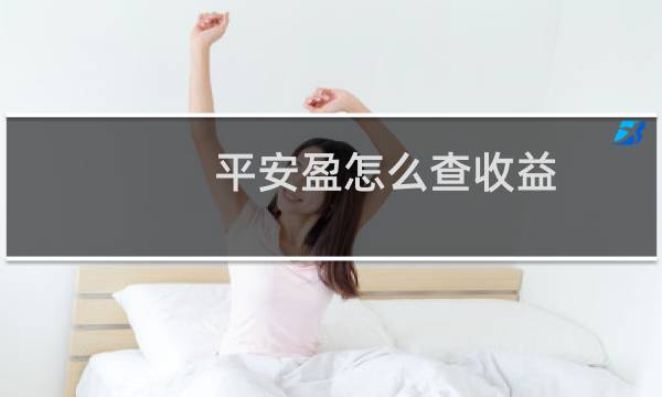 平安盈怎么查收益