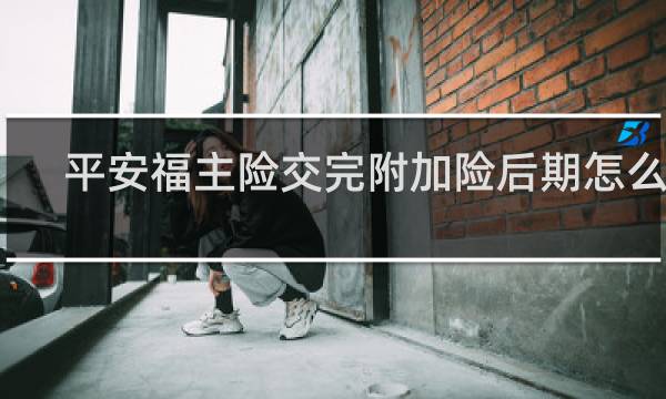 平安福主险交完附加险后期怎么交