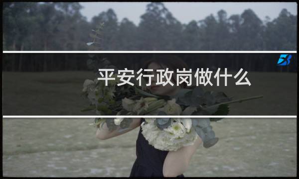 平安行政岗做什么