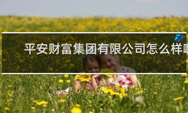 平安财富集团有限公司怎么样啊