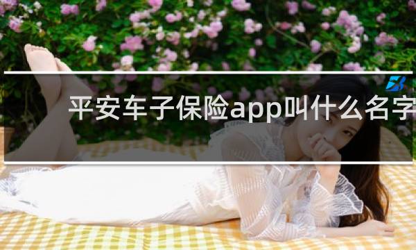 平安车子保险app叫什么名字