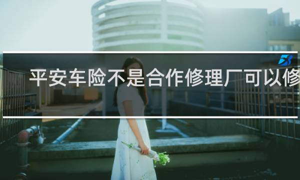 平安车险不是合作修理厂可以修吗