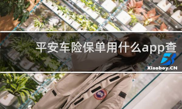 平安车险保单用什么app查