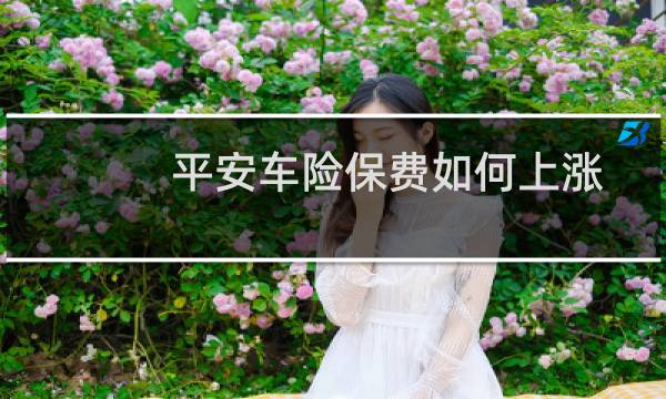 平安车险保费如何上涨