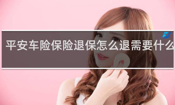 平安车险保险退保怎么退需要什么手续