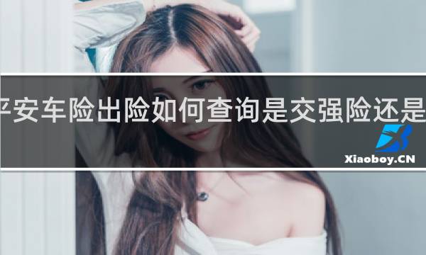 平安车险出险如何查询是交强险还是商业险