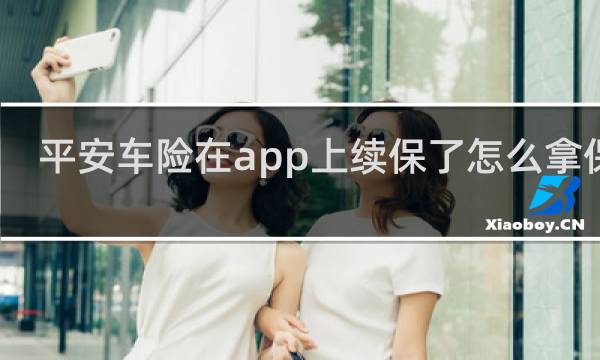 平安车险在app上续保了怎么拿保单