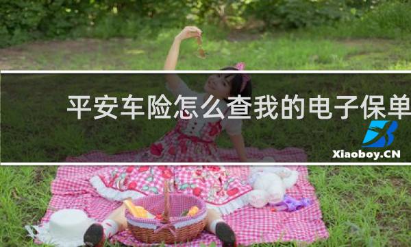 平安车险怎么查我的电子保单
