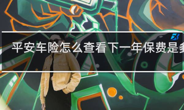 平安车险怎么查看下一年保费是多少