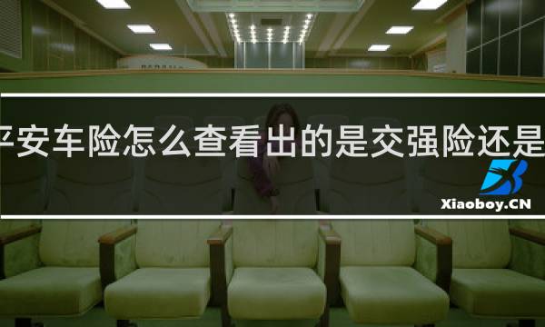 平安车险怎么查看出的是交强险还是商业险