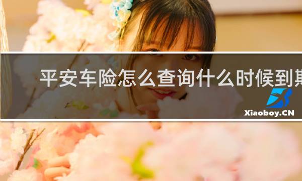 平安车险怎么查询什么时候到期