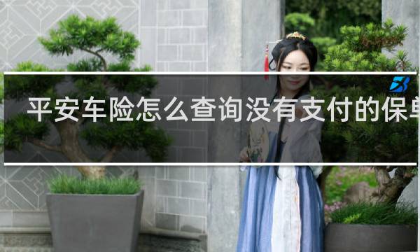 平安车险怎么查询没有支付的保单号