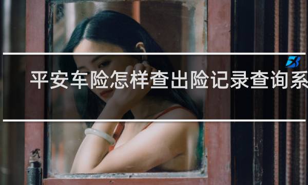 平安车险怎样查出险记录查询系统