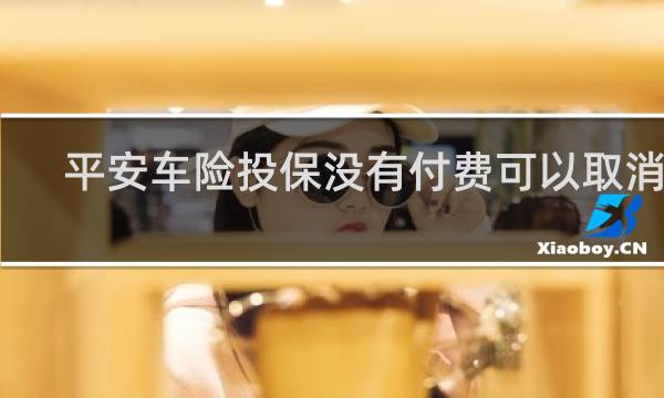 平安车险投保没有付费可以取消吗