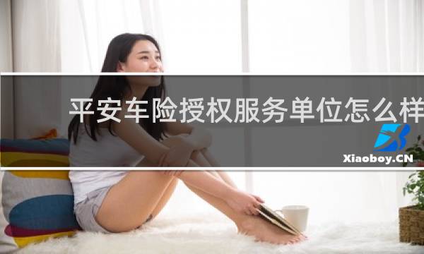 平安车险授权服务单位怎么样