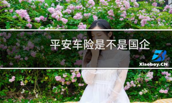 平安车险是不是国企