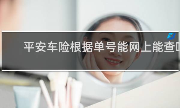 平安车险根据单号能网上能查吗