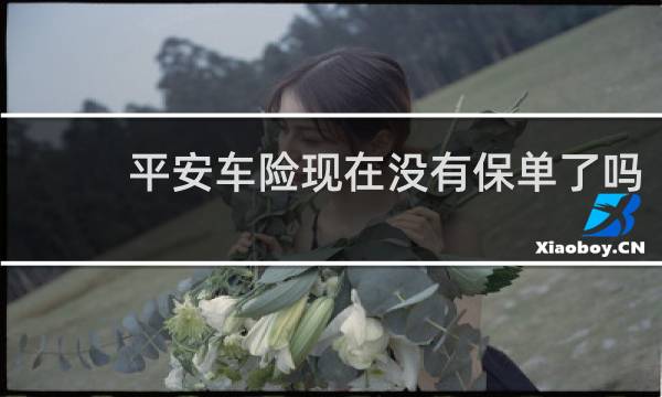 平安车险现在没有保单了吗