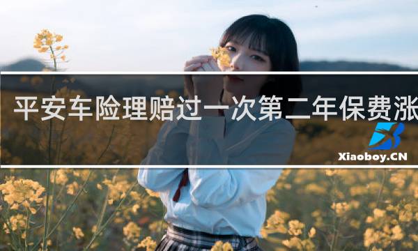 平安车险理赔过一次第二年保费涨多少