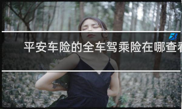 平安车险的全车驾乘险在哪查看