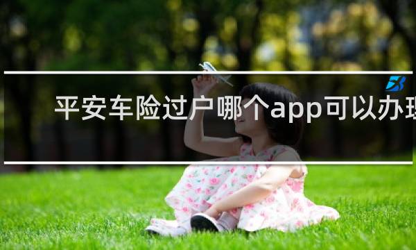 平安车险过户哪个app可以办理