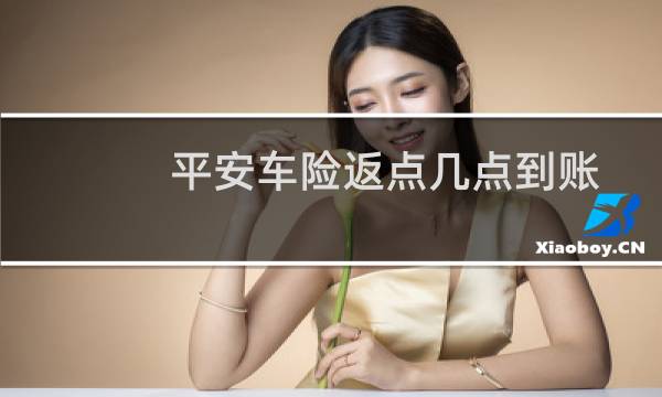 平安车险返点几点到账