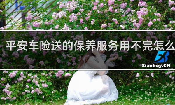 平安车险送的保养服务用不完怎么处理